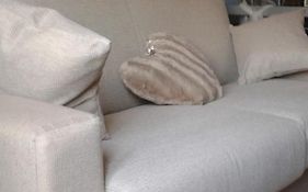 Loft Azzurro